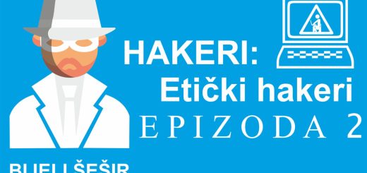 ethical hackers or white hats