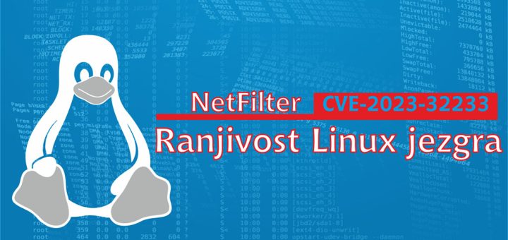 Linux Kernel Vulnerability